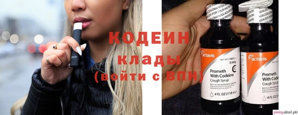 mdpv Бородино