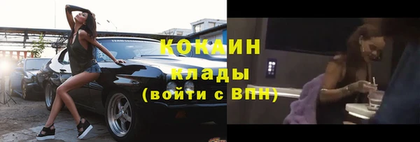 mdpv Бородино