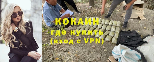 mdpv Бородино
