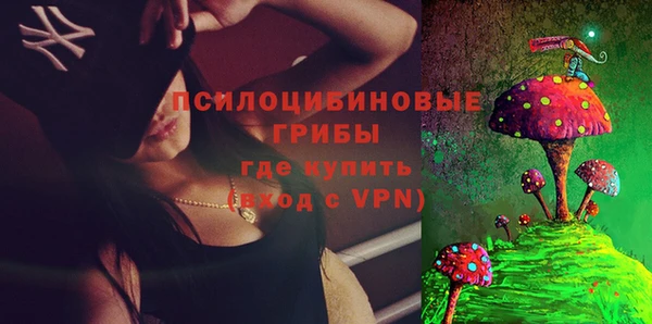 mdpv Бородино