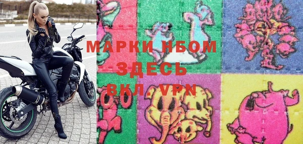 mdpv Бородино