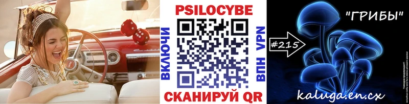 Купить закладки  Магас  Псилоцибиновые грибы Magic Shrooms 