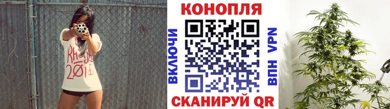 Купить где  Магас  Канабис планчик 